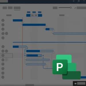 MS PROJECT