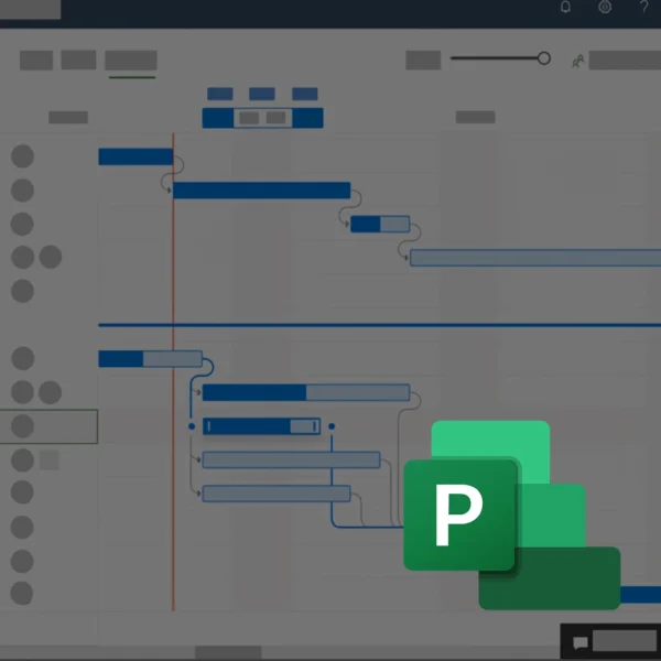 MS PROJECT