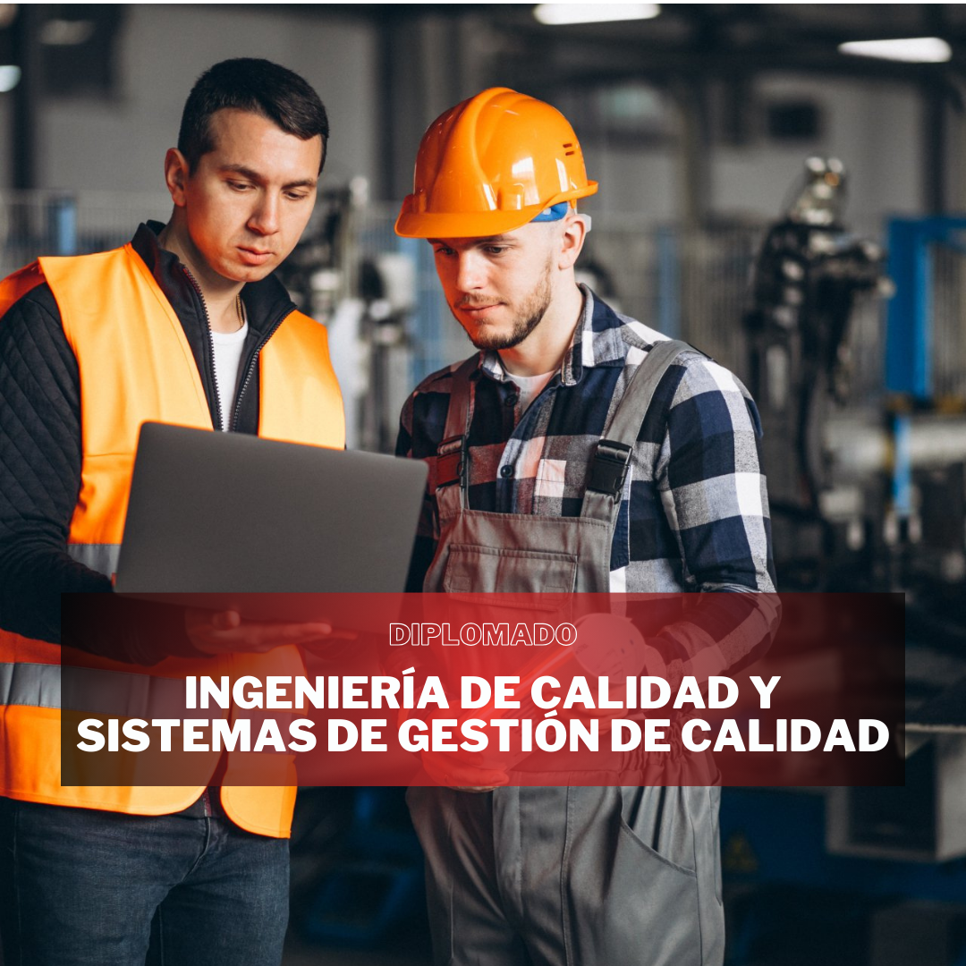 INGENIERÍA DE CALIDAD Y SISTEMAS DE GESTIÓN DE CALIDAD
