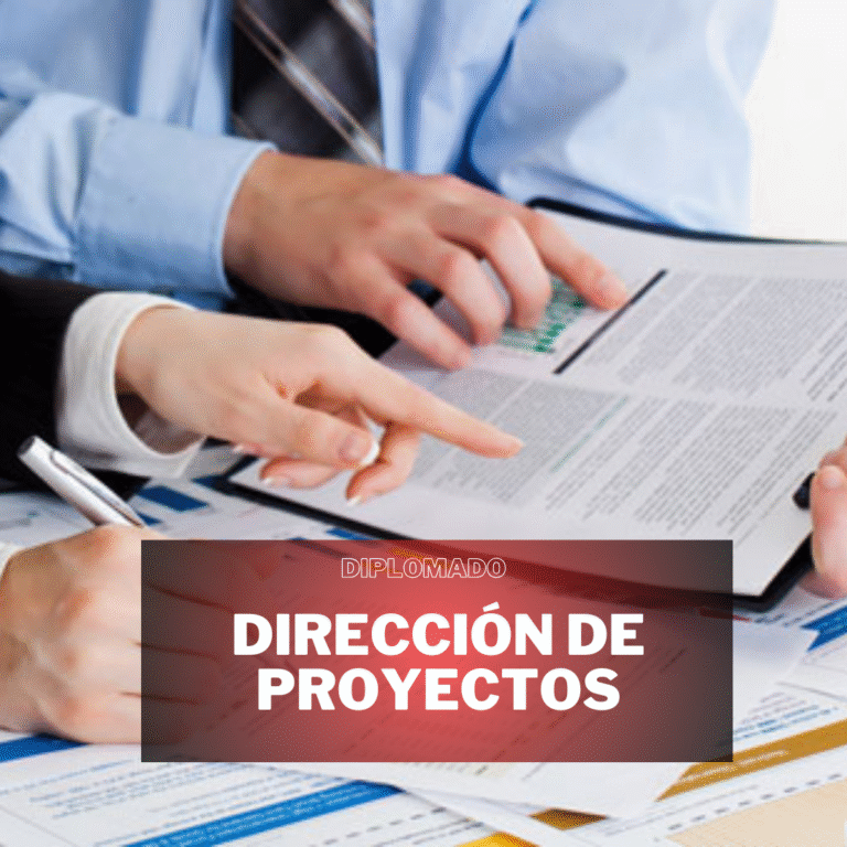 DIRECCIÓN DE PROYECTOS