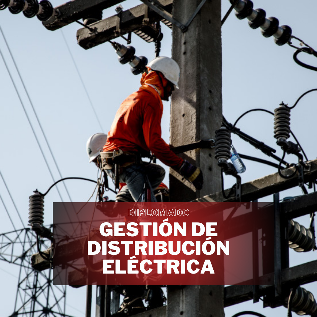 GESTIÓN DE DISTRIBUCIÓN ELÉCTRICA