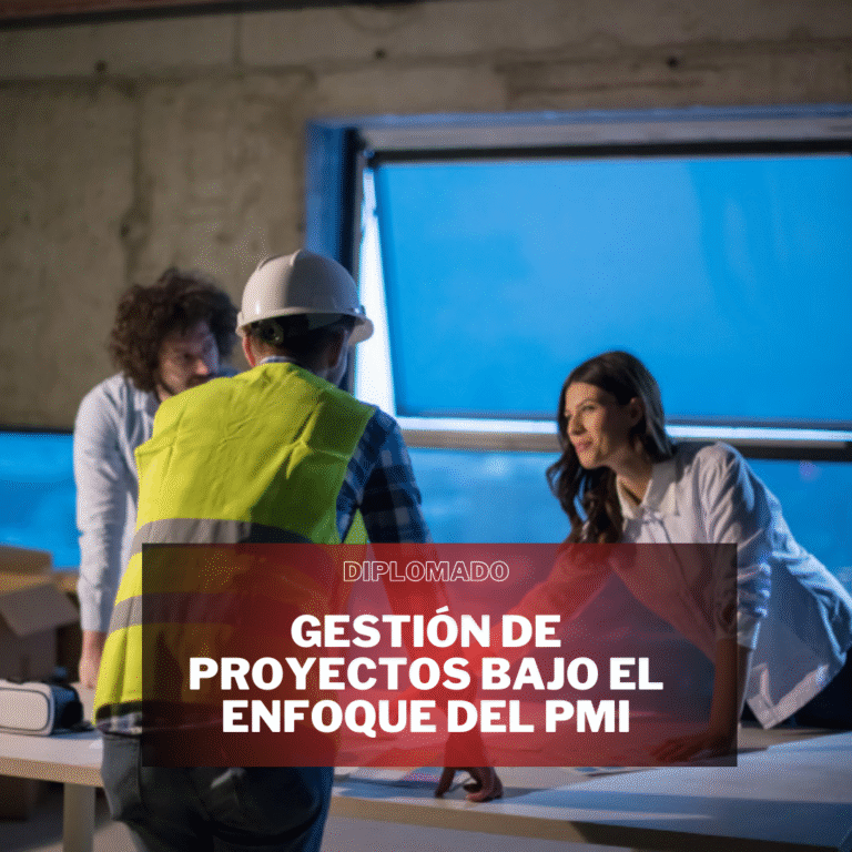 GESTIÓN DE PROYECTOS BAJO EL ENFOQUE DEL PMI