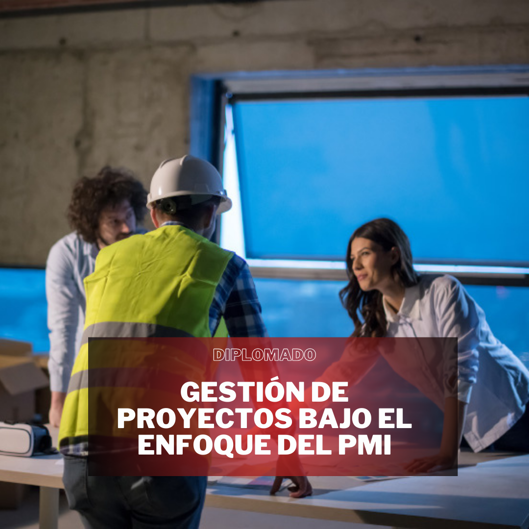 GESTIÓN DE PROYECTOS BAJO EL ENFOQUE DEL PMI