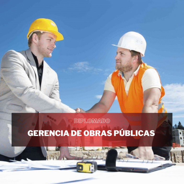 GERENCIA DE OBRAS PÚBLICAS