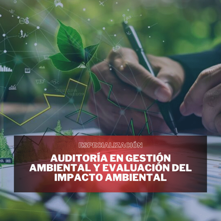 AUDITORÍA EN GESTIÓN AMBIENTAL Y EVALUACIÓN DEL IMPACTO AMBIENTAL