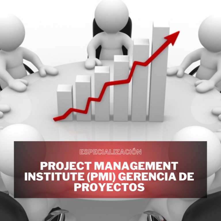 PROJECT MANAGEMENT INSTITUTE (PMI) GERENCIA DE PROYECTOS