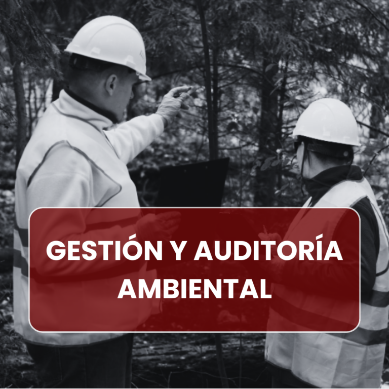 GESTIÓN Y AUDITORÍA AMBIENTAL