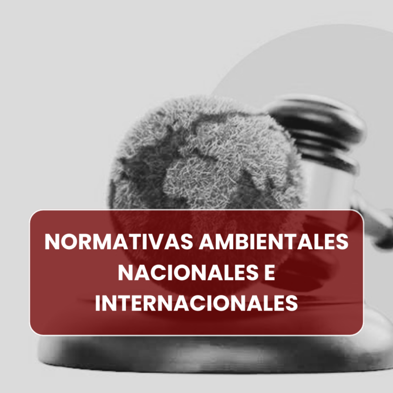 NORMATIVAS AMBIENTALES NACIONALES E INTERNACIONALES